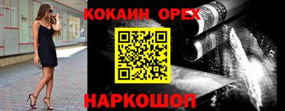 гидропоника Сланцы