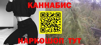 гидропоника Сланцы
